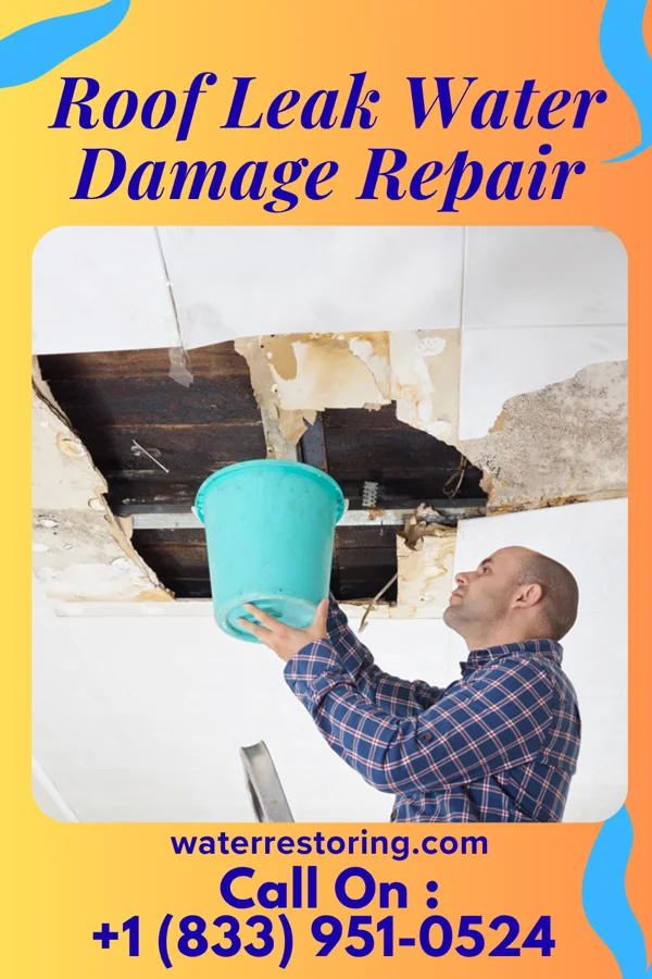 Roof Leak Water Damage Repair in St. Clairsville, OH