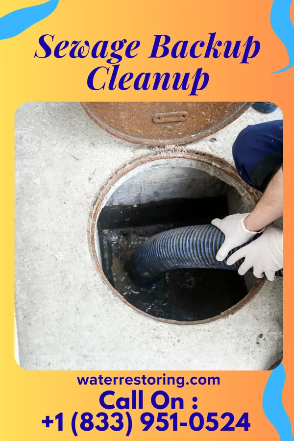 Sewage Backup Cleanup in St. Clairsville, OH