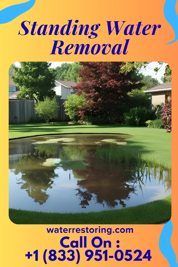Standing Water Removal in St. Clairsville, OH